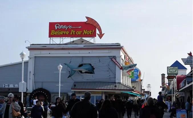 Fragile or High-Maintenance Signage