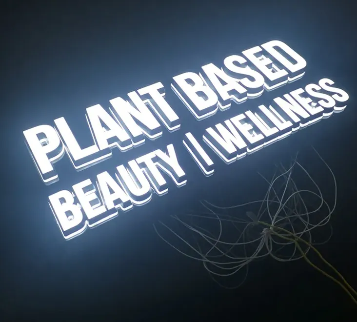 LED Frontlit & Backlit Channel Letters - HC Signs