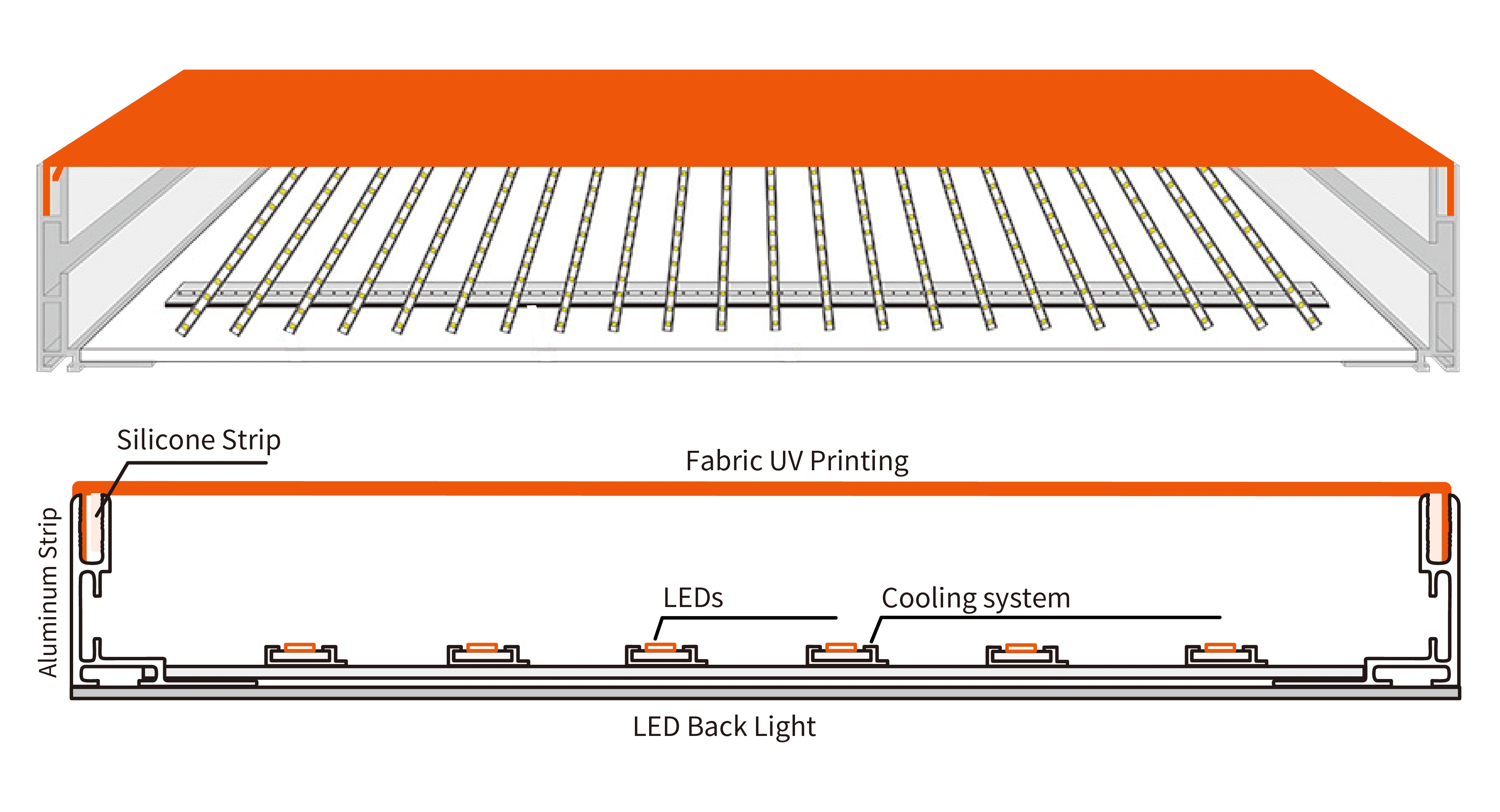Structure-LED Shaped Light Box